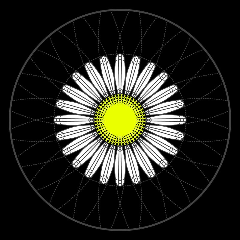 Gänseblümchen - Dunkel