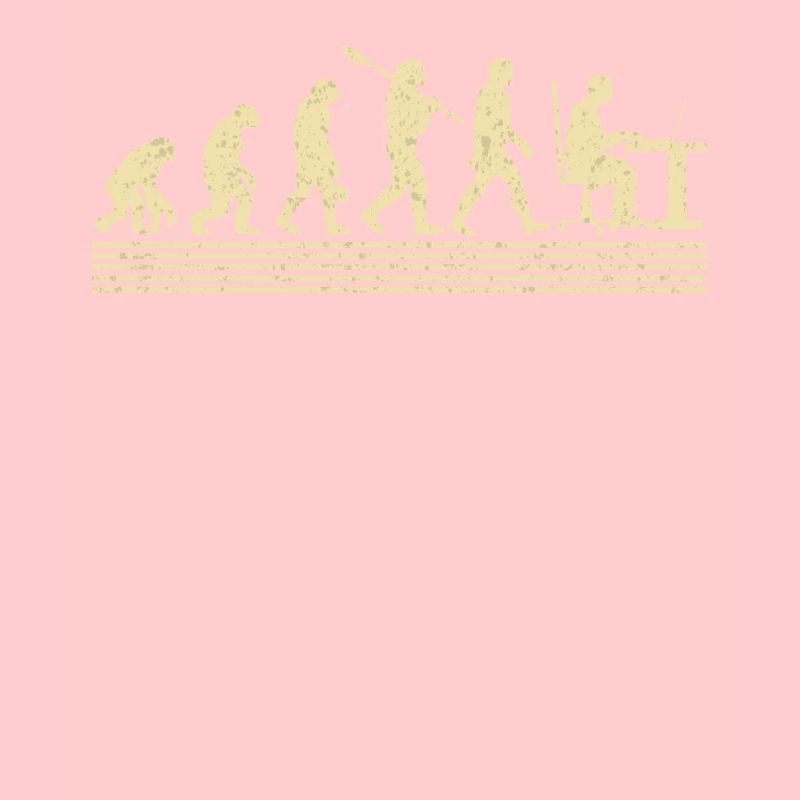 Software-entwickler-evolution