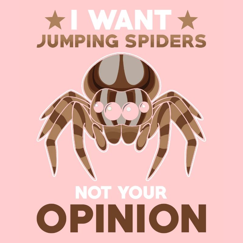 Dicton Jumping Spider