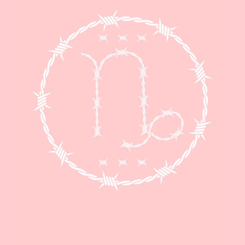 Steinbock Sternzeichen