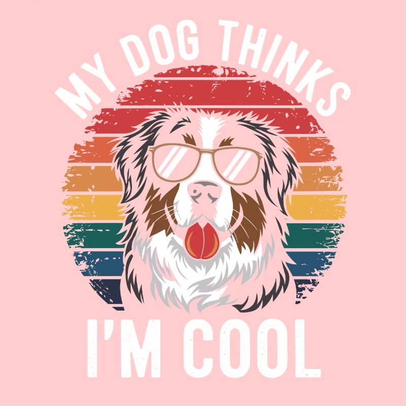 Berner Sennenhund Mein Hund Denkt Das Ich Cool Bin