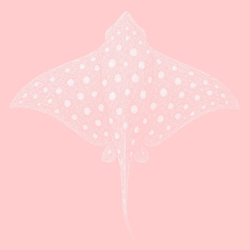 Spotted Eagle Ray