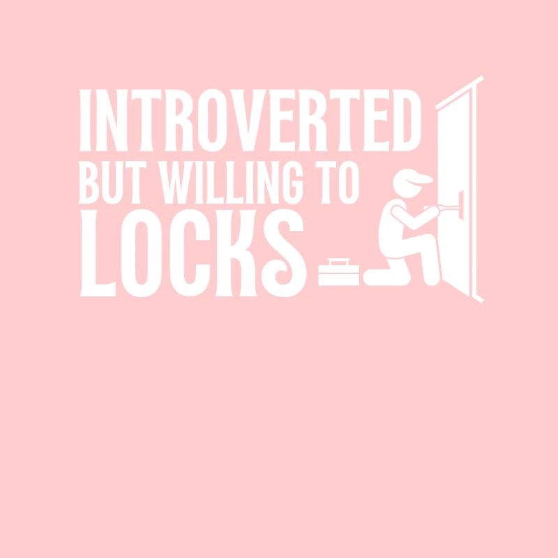 Lockpick Lockpicking Professional Locksmith