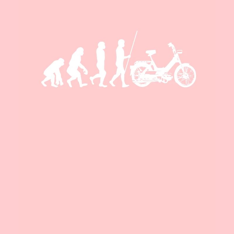 DDR Mobylette Oldtimer Roller Mofa Scooter 2 Takter