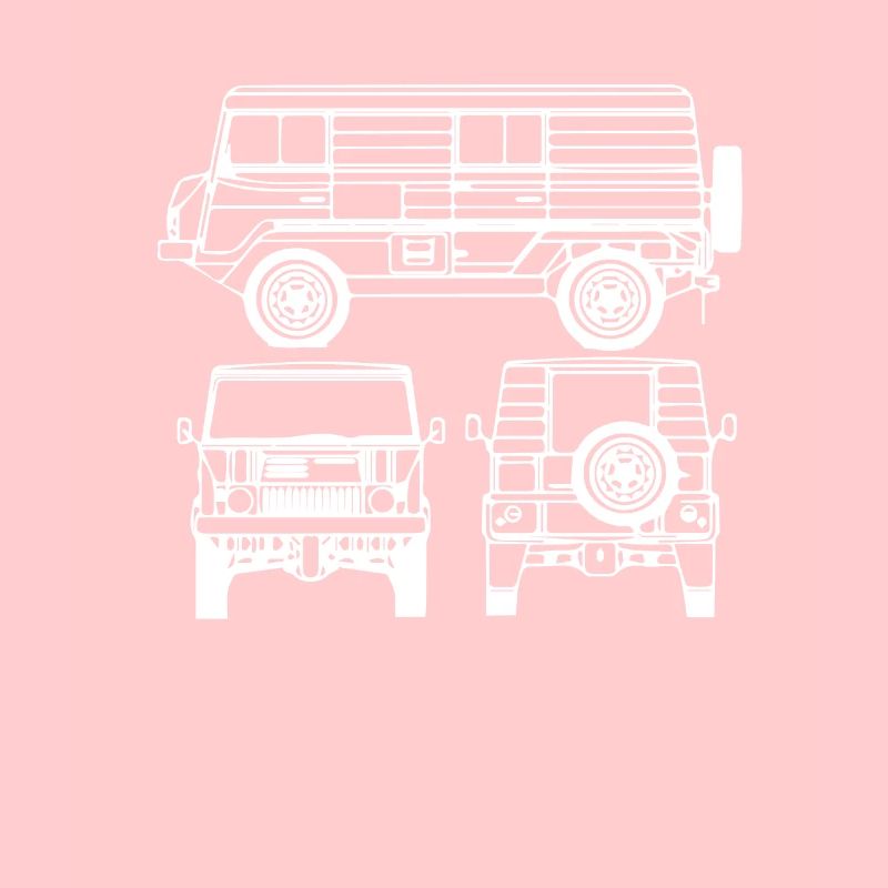 DDR Moped Oldtimer Roller Mofa Scooter 2 Takter