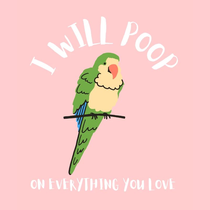 Blue Quaker Parrot Mom
