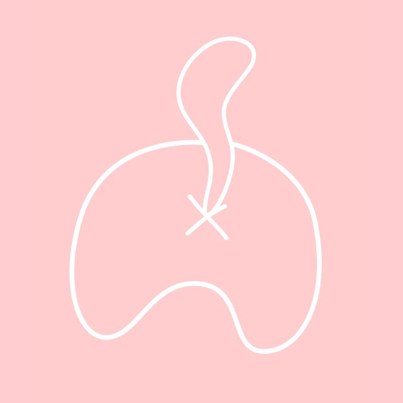 Cat Butthole