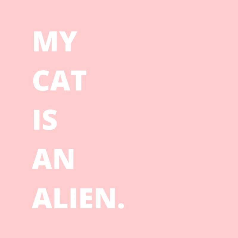 Propriétaire de chat - Mon chat est un extraterrestre