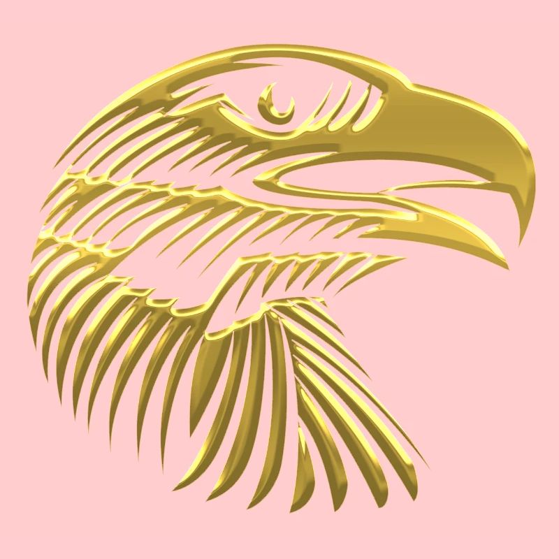Eagles Eagle Eagle bird falcon hawk