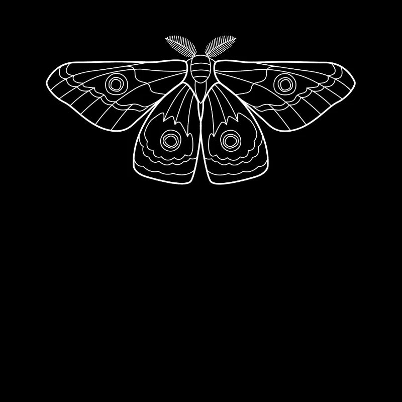 Moth Moth Butterfly Insects Gift
