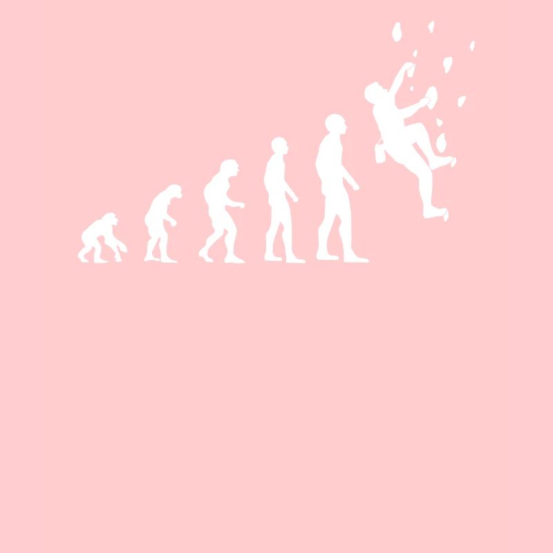 Kletterer Evolution Kletterwand Kletterhalle