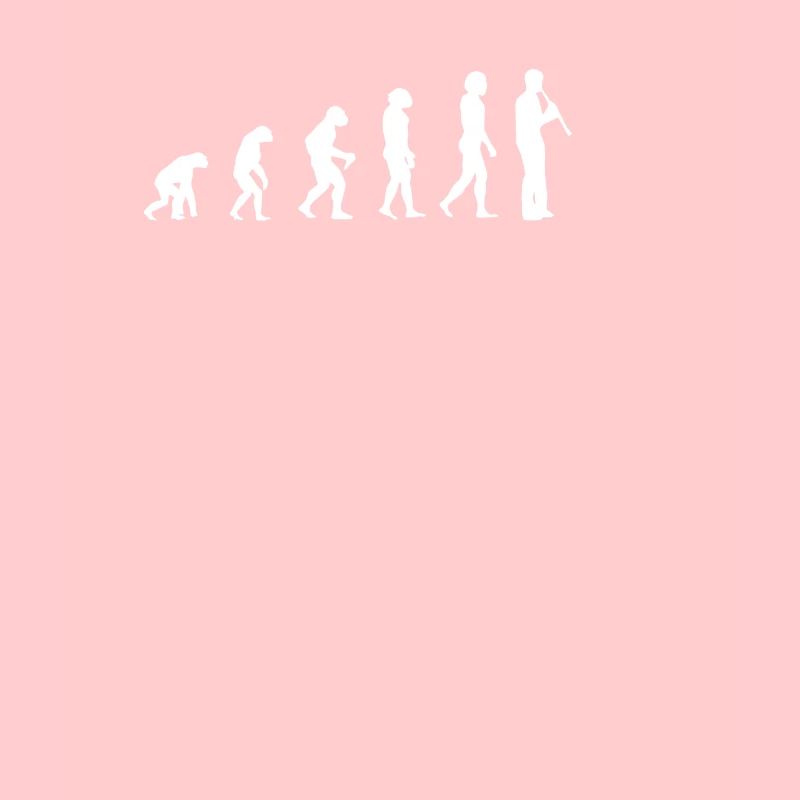 evolution of clarinet