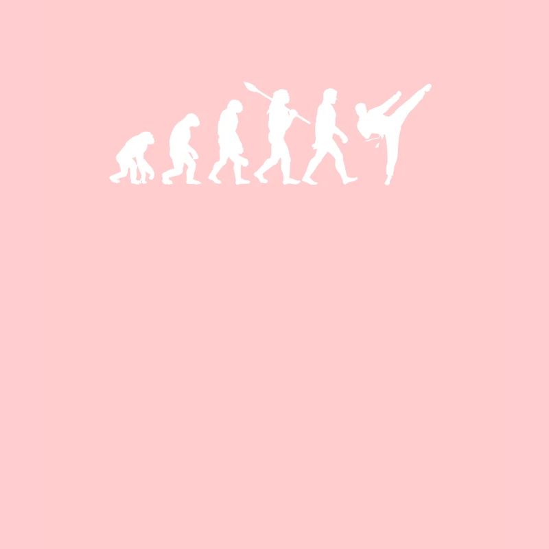 Evolution Karaté Taekwondo Aikido Arts Martiaux