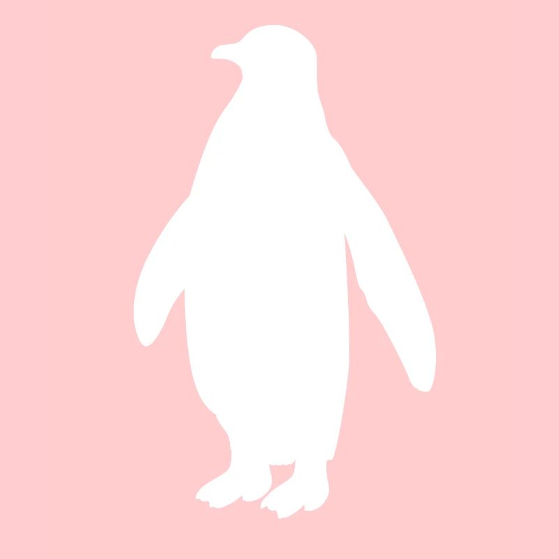 Pinguin Seevogel Meeresvogel Vogel Geschenk