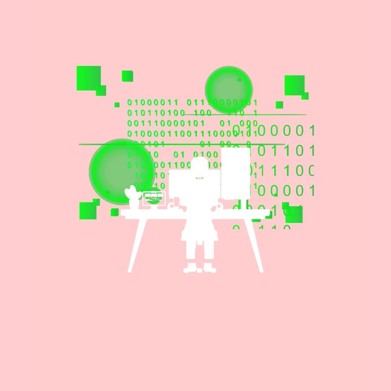 Programmer Coder Software Developer