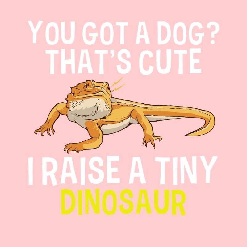 Bärtiger Drachenreptile Echsengärte Winziger