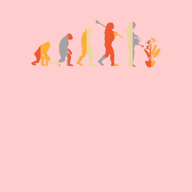 Evolution Jardinier Plante Arrosage Peut Strelizia
