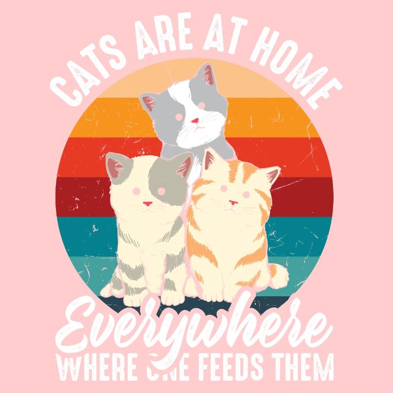 Les chats sont à la maison partout