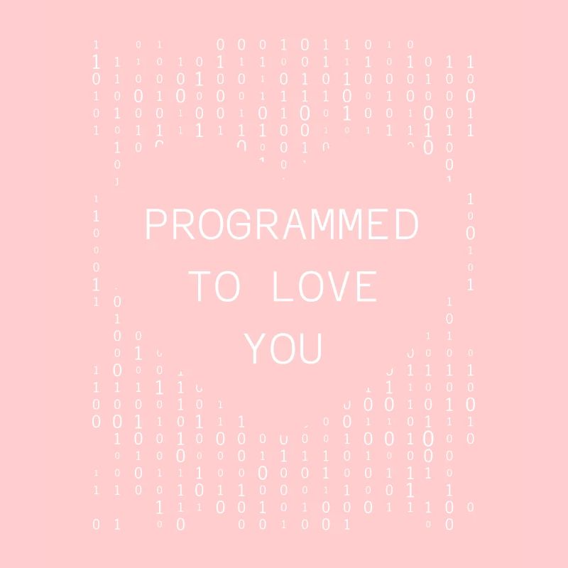 Developer Coder Programmer