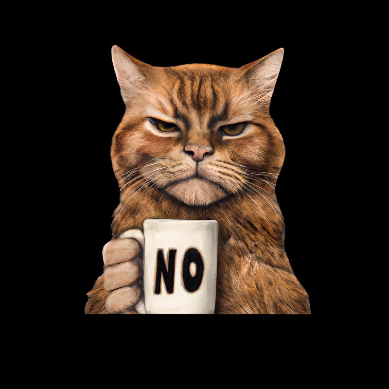 Grumpy funny cat with coffee cup says no