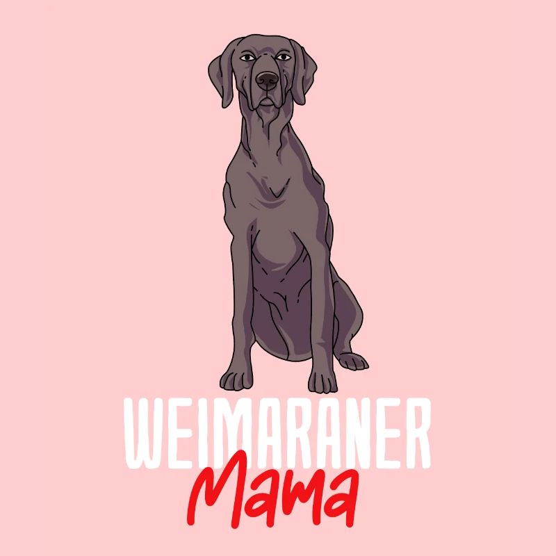 Weimaraner