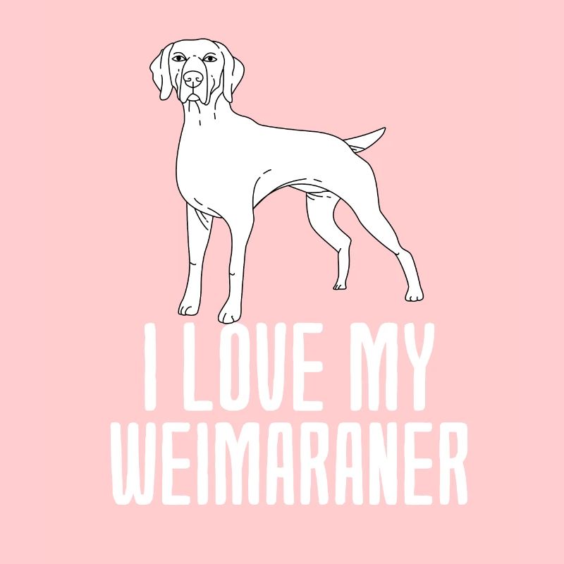 Weimaraner