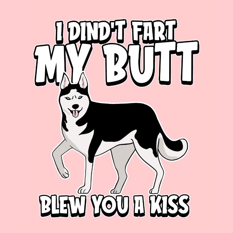 Husky sibérien