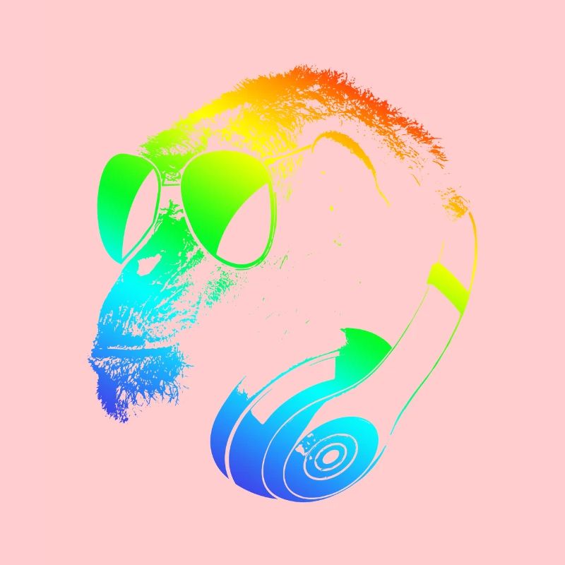 DJ Ape Gorilla Monkey Musique Techno Monkey