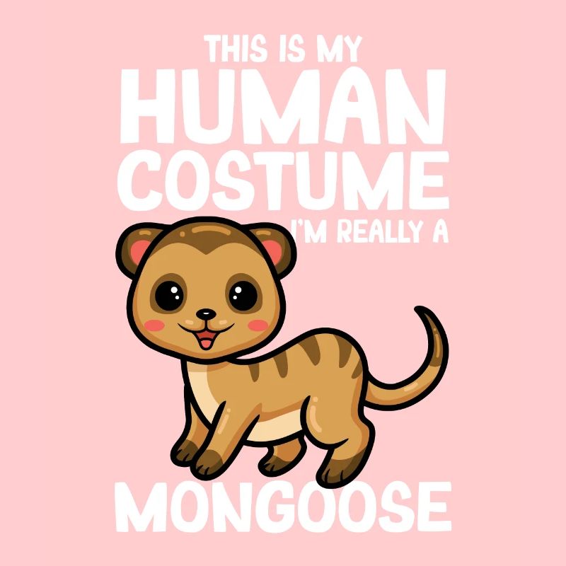 Mangoustes Mangoustes Suricates