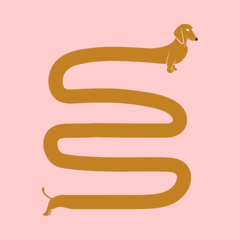 Long dachshund