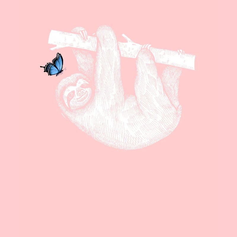 Paresseux avec papillon