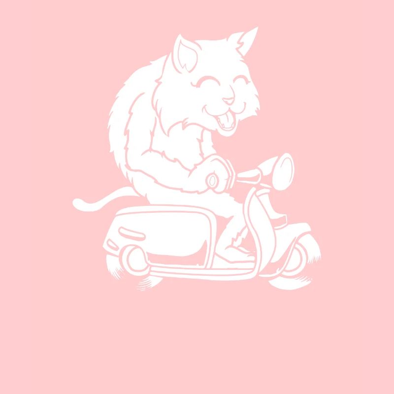 Motorroller Katze