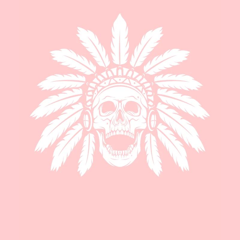 Indigenous Skull Skull