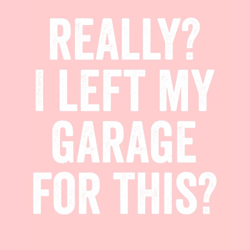 Vraiment, j’ai quitté mon garage pour ce drôle de sarcasme