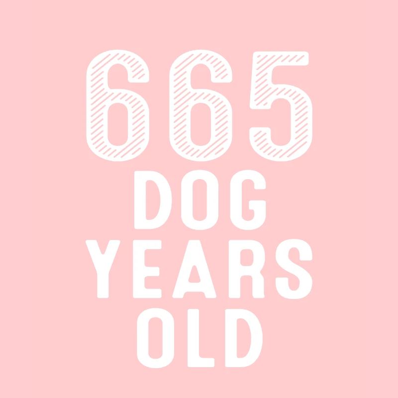 665 Chien Ans 95e Anniversaire