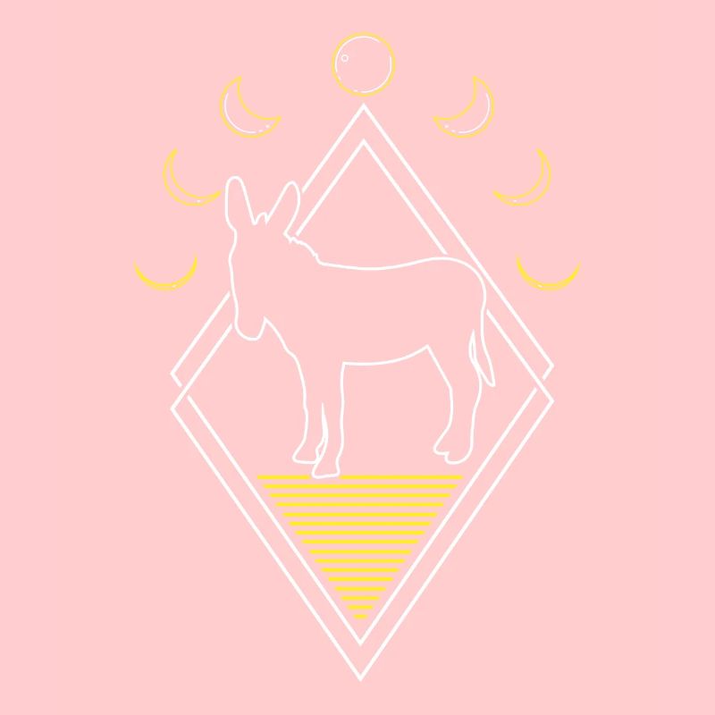 Mule Donkey Abstract Moon Phases