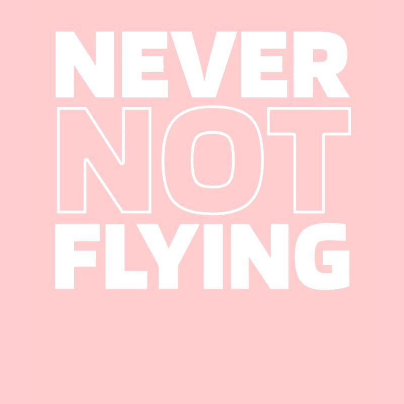 Flugzeug Pilot