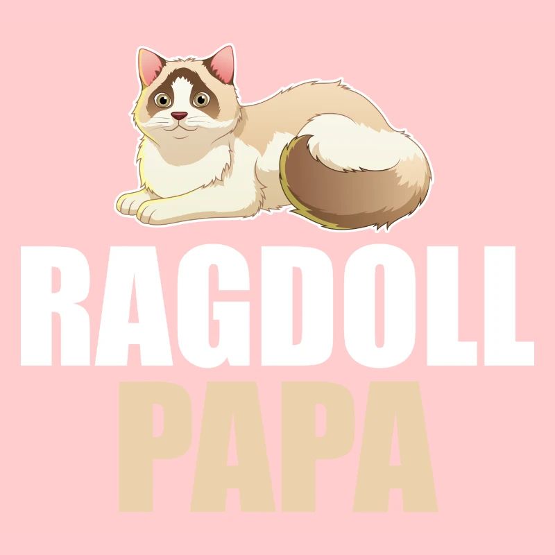Ragdoll Cat Cat