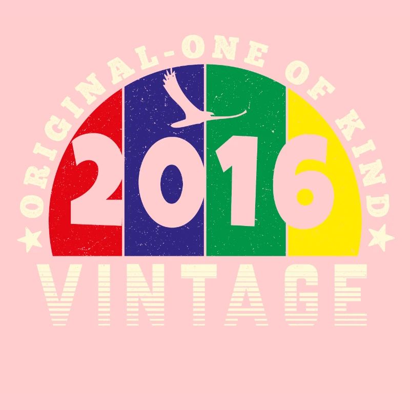 Vintage 2016 Retro - Bursdag
