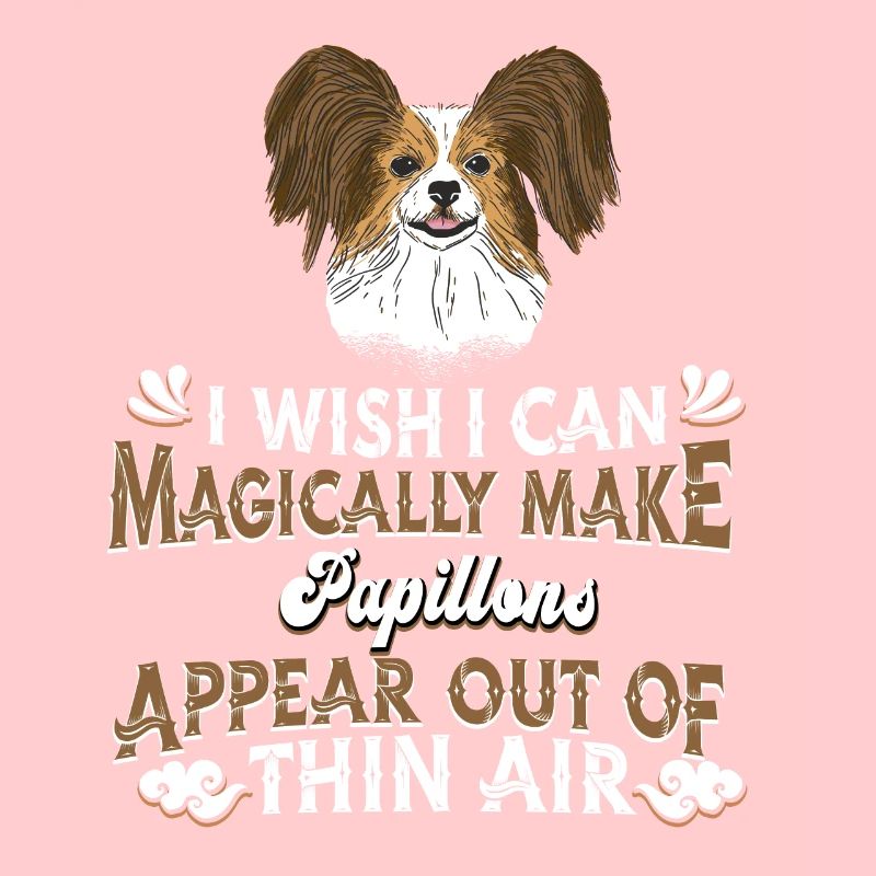 Papillon Chien