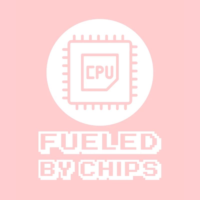 Programmer Coder Software Developer