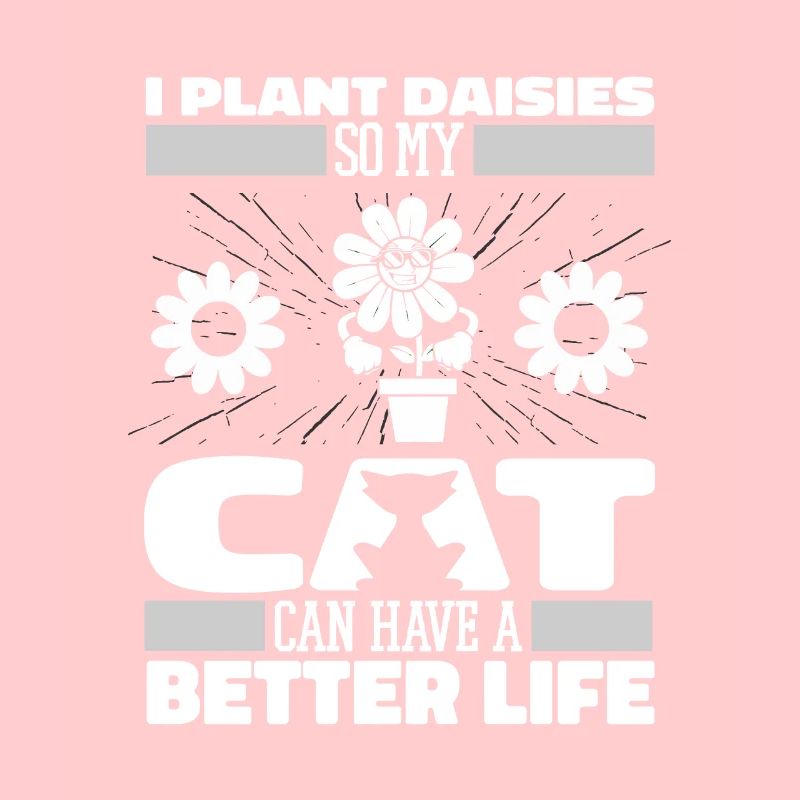 Gänseblume Gänseblümchen Katze