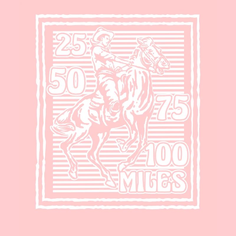 Cheval Affiche Équitation Endurance Équitation