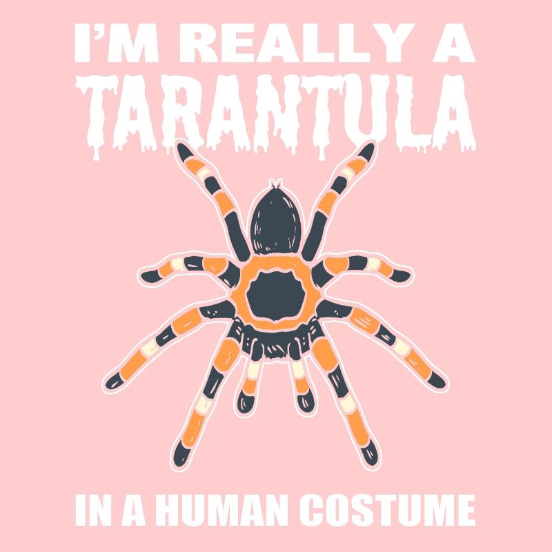 Spider lover arachnology