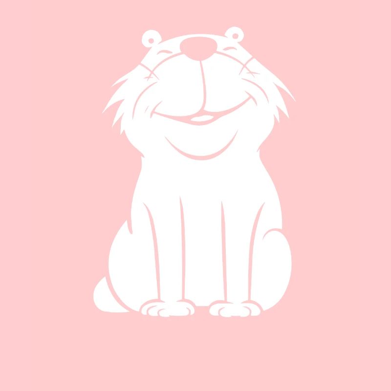 Capybara Capybara Funny