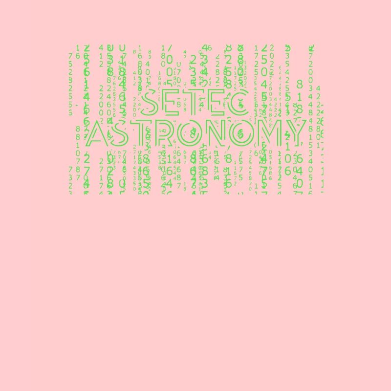 Setec Astronomy - Développeur programmeur informatique