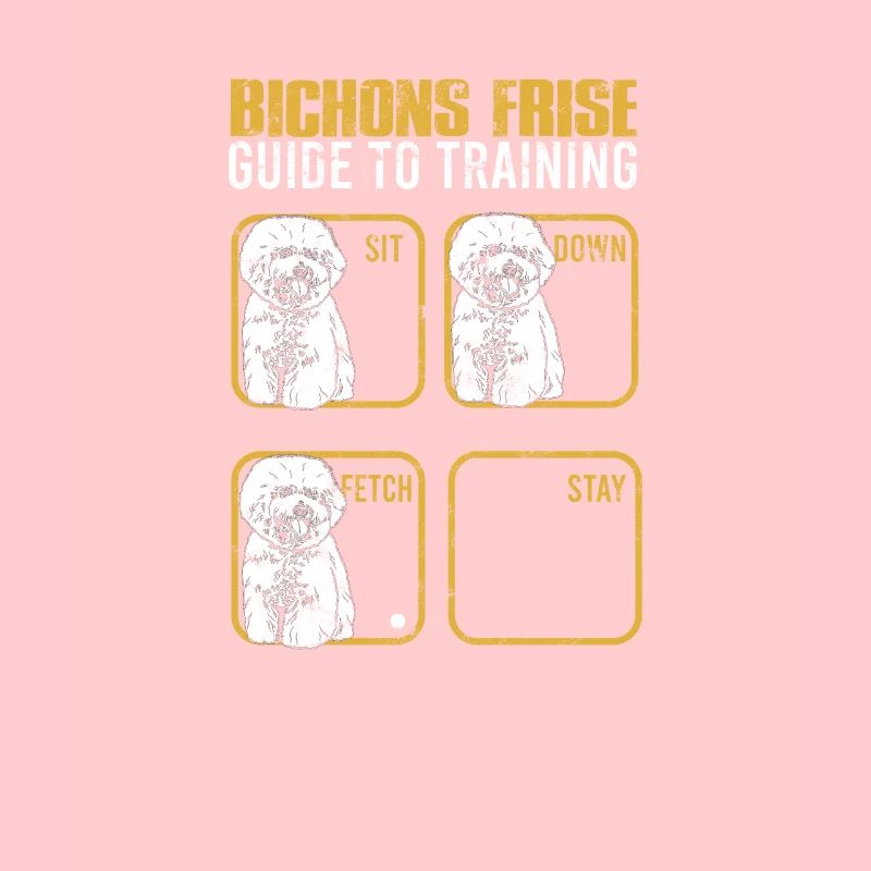 Bichon frise Anleitung zum Training Sit down Fetch