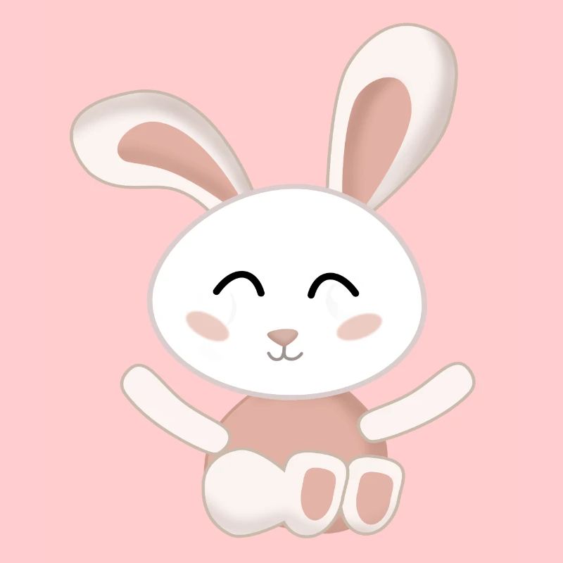 Rabbit White cute pink