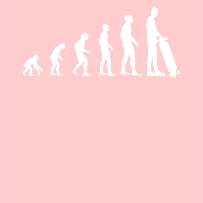 Skater Evolution Funny Skateboarder