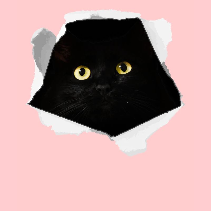 Schwarze Katze Karton Abenteuer Geschenk